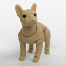 Маленький бульдог BJD