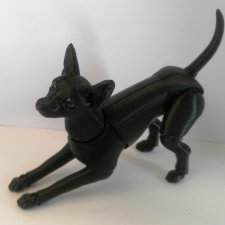 Маленький той терьер BJD