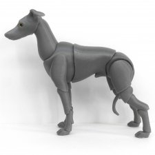 Левретка BJD