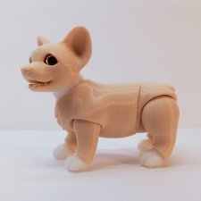 Щенок корги BJD