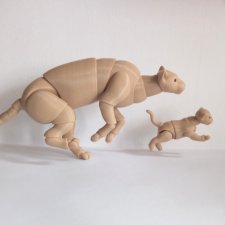 В мире животных