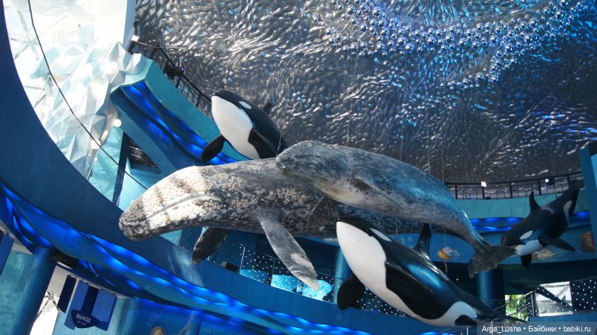 Два путешествия во Вла-ди-вос-ток (серия первая)