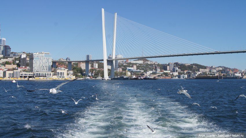 Два путешествия во Вла-ди-вос-ток (серия первая) (фото 9)