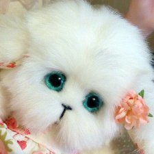 Если дома завелись зайки-попрыгайки