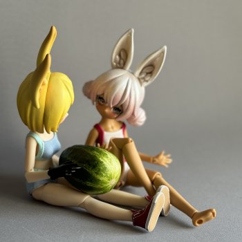 Кукольные будни - август месяц арбузов