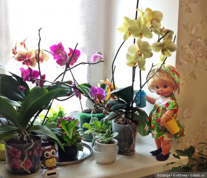 Анике - Маленькая цветочница