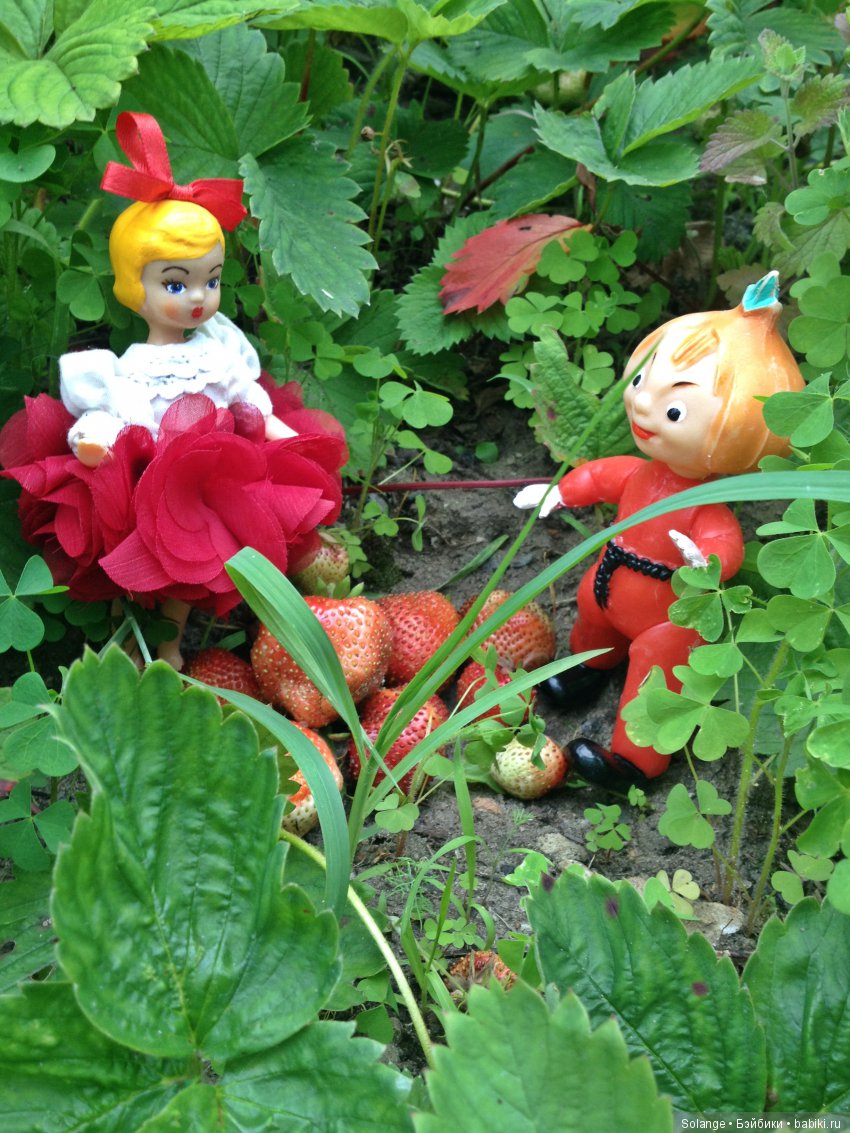 Цикл историй "Летние прогулки". "Там,где живут сказки." (фото 3)