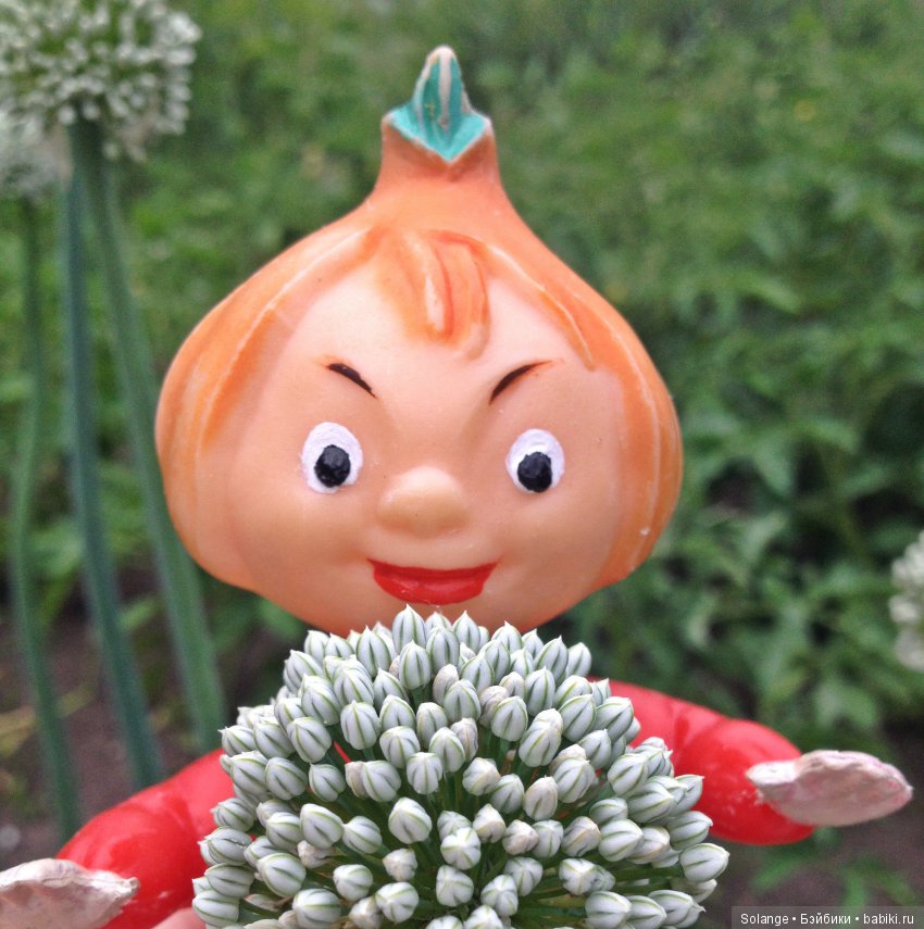 Цикл историй "Летние прогулки". "Там,где живут сказки." (фото 2)