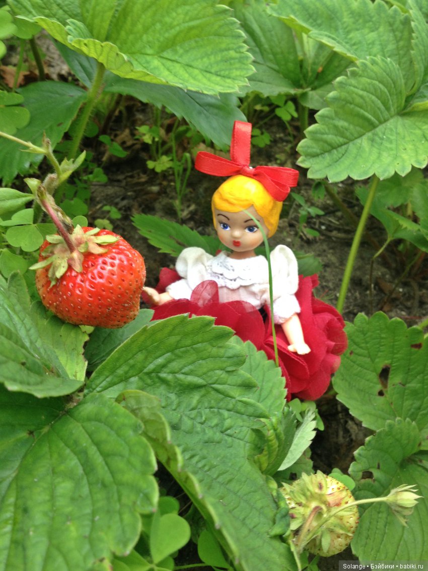 Цикл историй "Летние прогулки". "Там,где живут сказки." (фото 4)