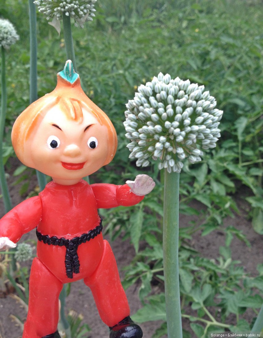 Цикл историй "Летние прогулки". "Там,где живут сказки."