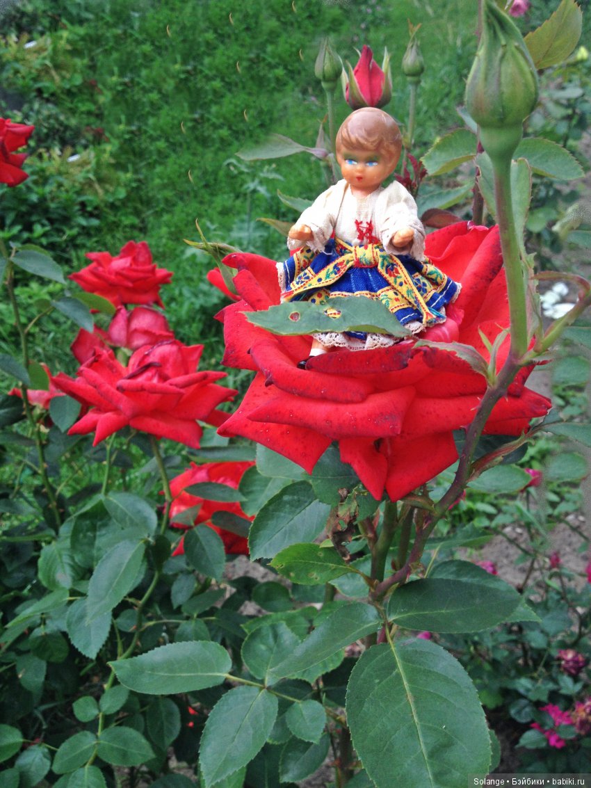 Стихи "Герои старых сказок" (фото 3)