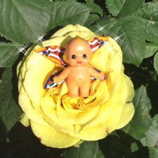 Волшебство в моём саду