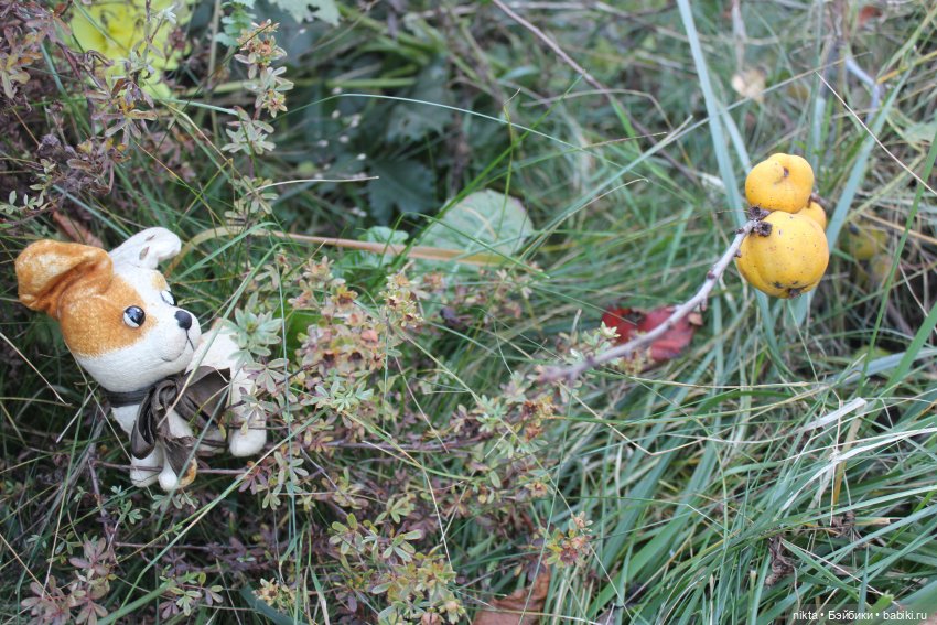 Как долго я тебя ждала — Игрушки СССР и советского детства: резиновые (фото 3)