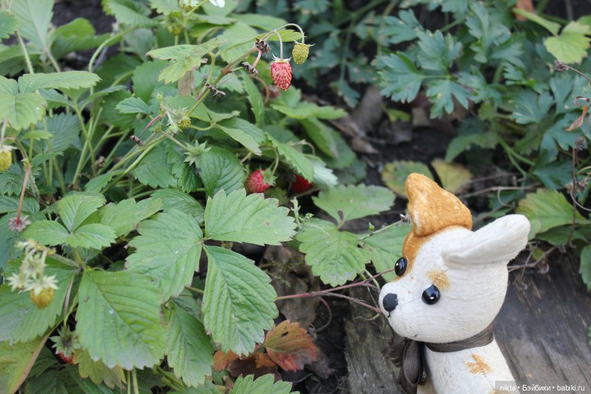 Как долго я тебя ждала — Игрушки СССР и советского детства: резиновые (фото 8)