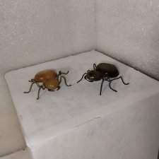 Броши СССР для кукол, фотосессий Жуки 2 штуки лотом