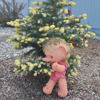 Ведь так не бывает на свете, чтоб были потеряны дети.