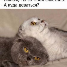 Плесень или не плесень