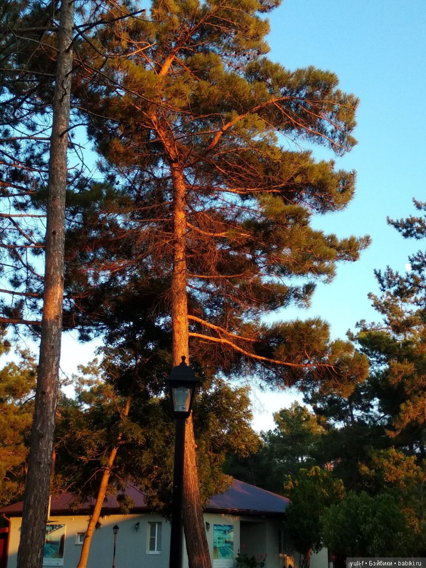 Фотосессия на черноморском побережье (фото 9)