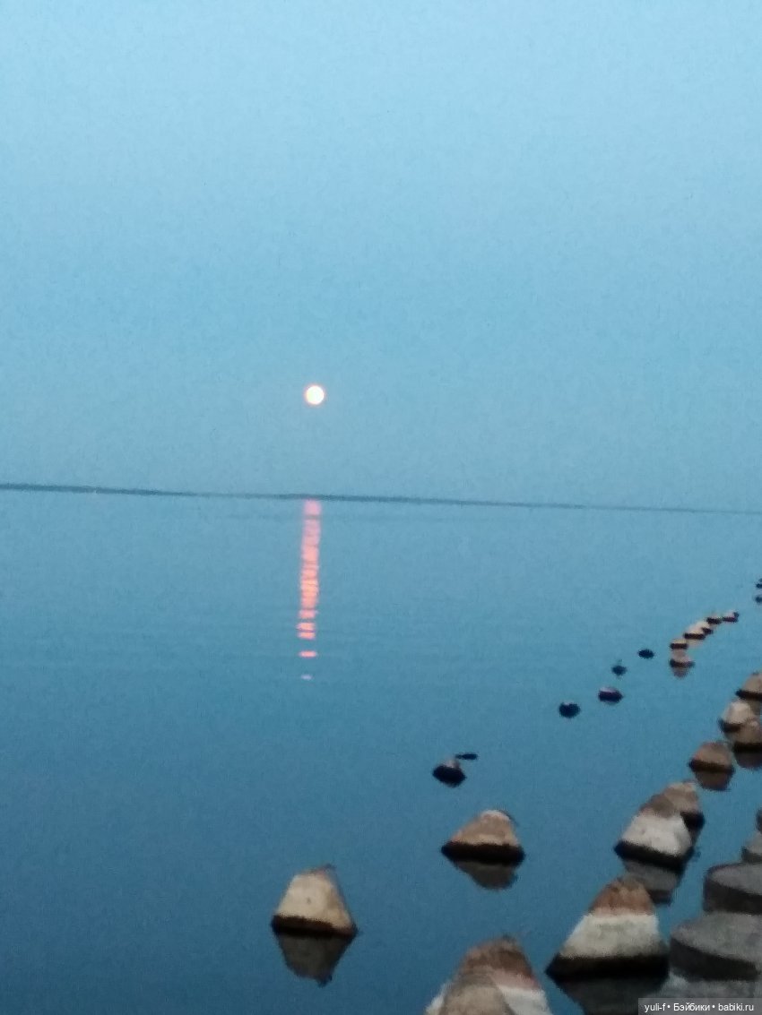 Маленькие радости большого лета (фото 5)