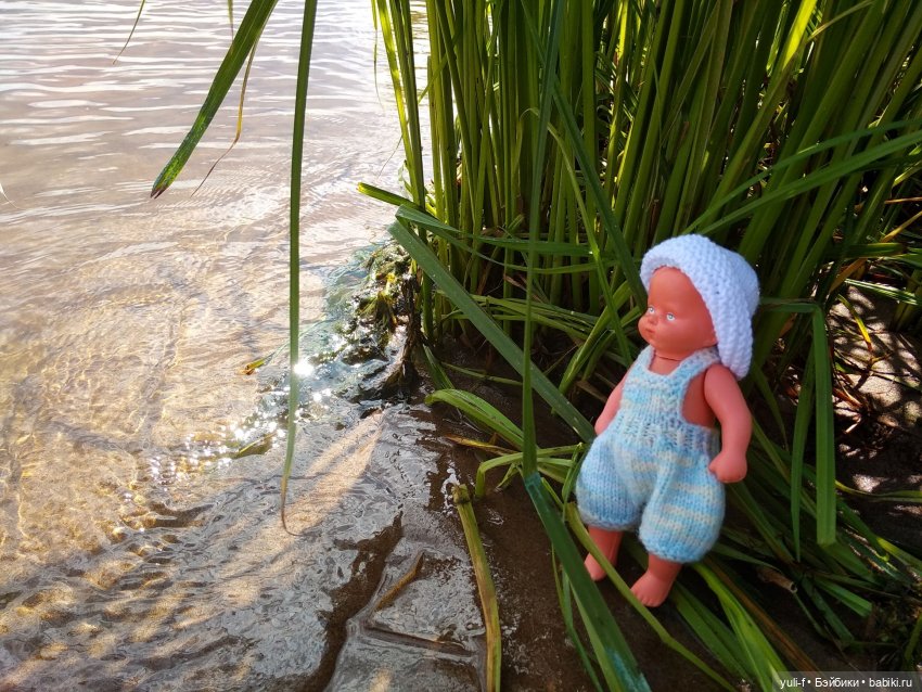 Маленькие радости большого лета