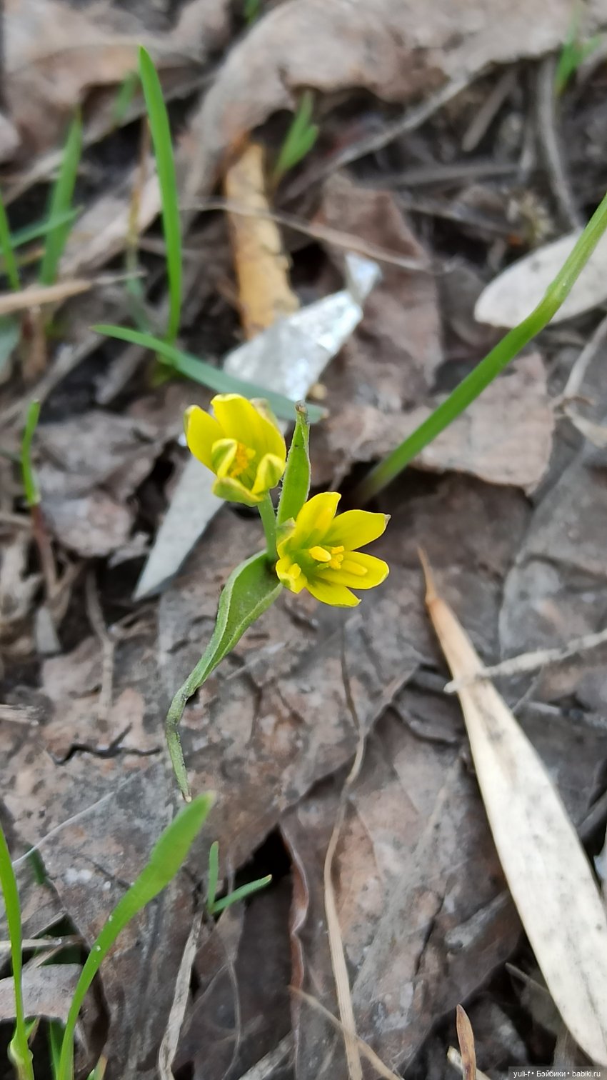 Малышкин гардеробчик. Мои любимые близнецы. Часть 2