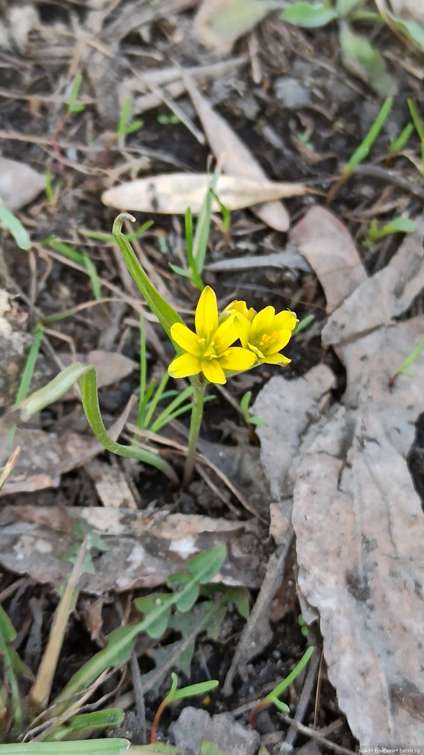 Малышкин гардеробчик. Мои любимые близнецы. Часть 2