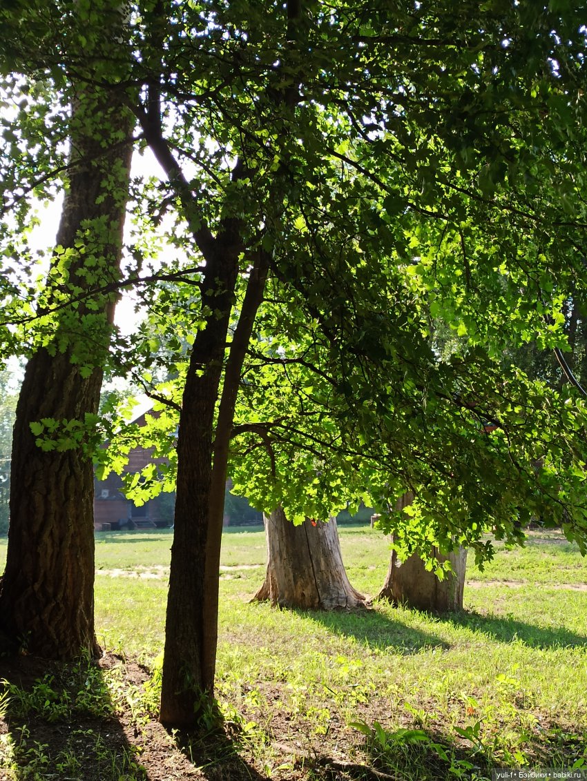 Рисуя лето — Игровые куклы разных производителей (Разное): редкие бренды (фото 2)