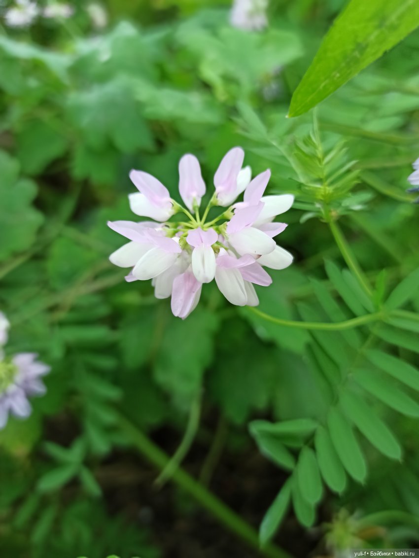 Рисуя лето — Игровые куклы разных производителей (Разное): редкие бренды