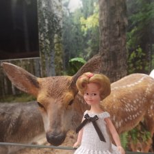 Солнечная поляна. Часть 1. Пенни