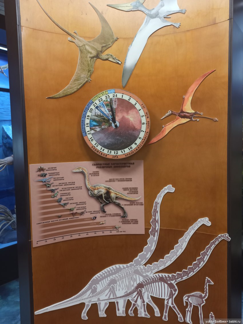 Солнечная поляна. Часть 1. Пенни (фото 6)