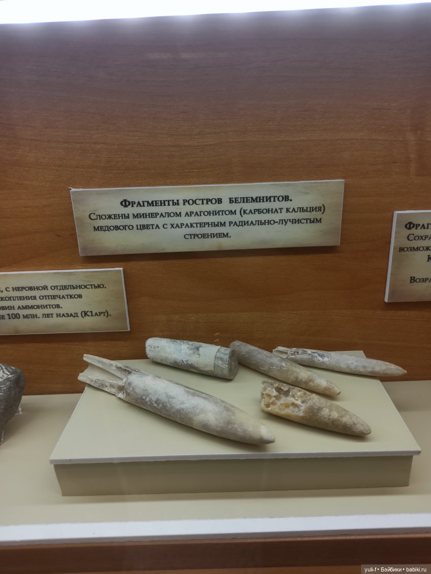 Солнечная поляна. Часть 1. Пенни (фото 3)