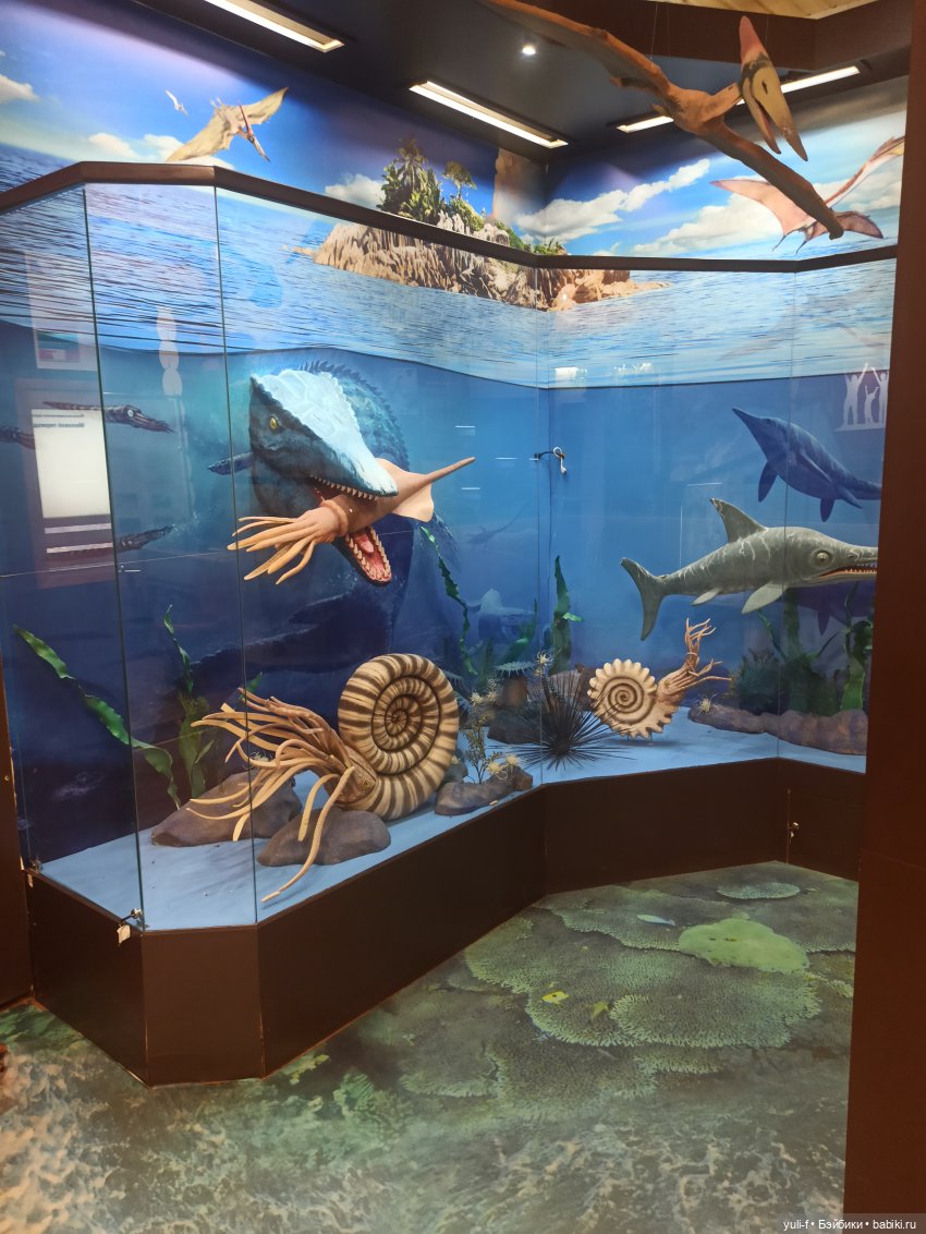 Солнечная поляна. Часть 1. Пенни