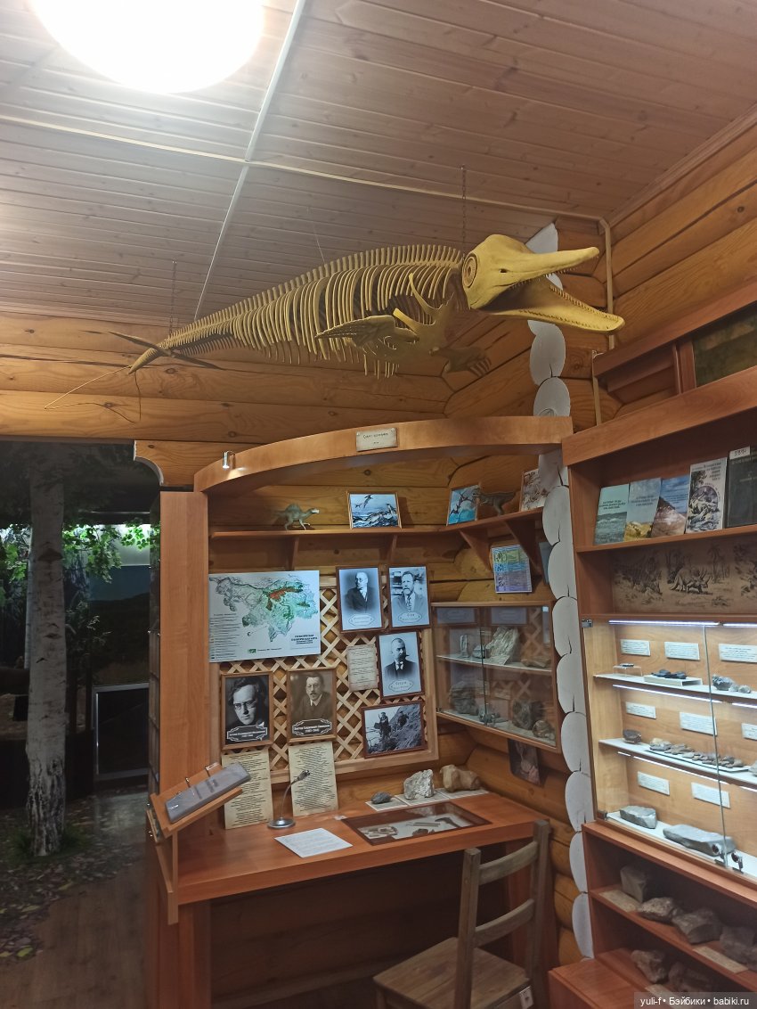 Солнечная поляна. Часть 1. Пенни (фото 5)