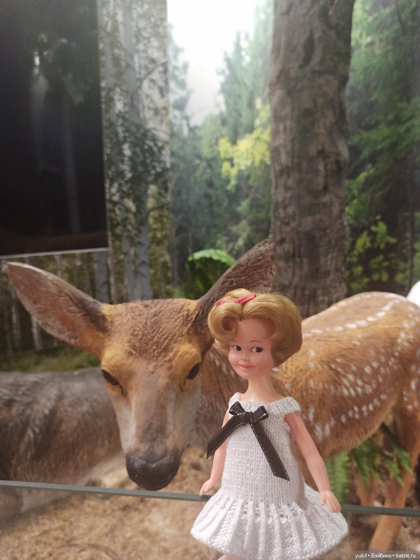 Солнечная поляна. Часть 1. Пенни (фото 8)