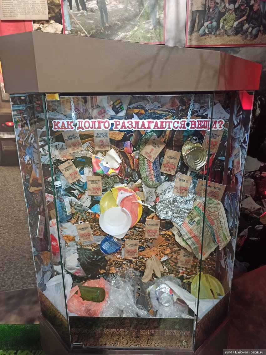 Солнечная поляна. Часть 1. Пенни