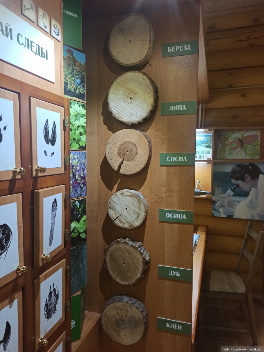 Солнечная поляна. Часть 1. Пенни