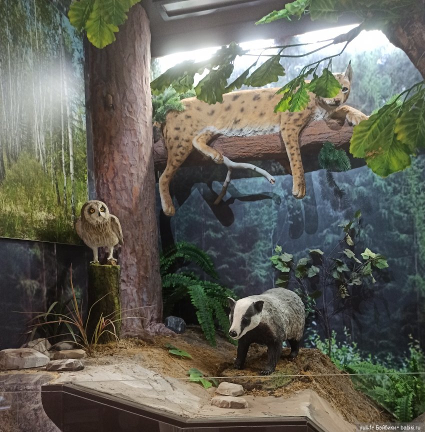 Солнечная поляна. Часть 1. Пенни (фото 9)