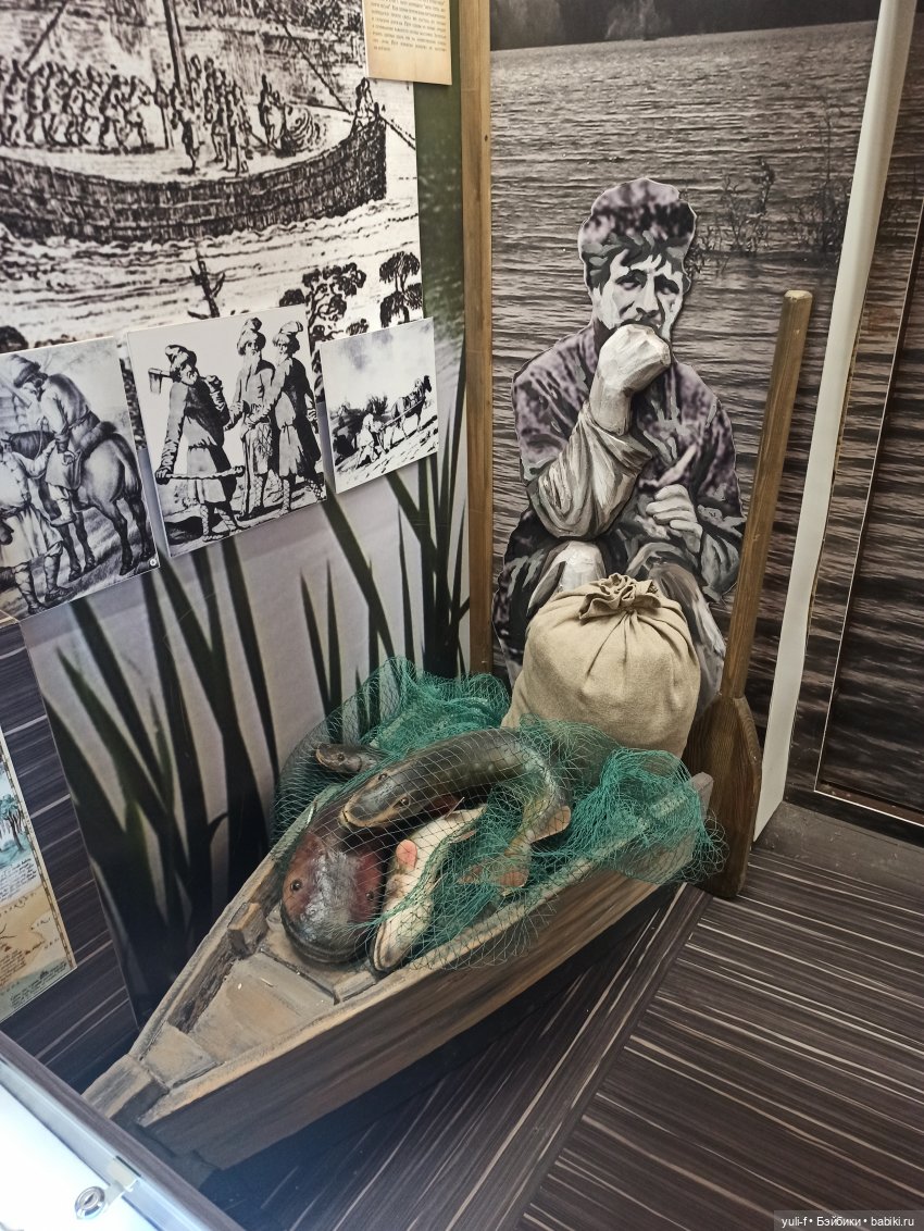 Солнечная поляна. Часть 1. Пенни