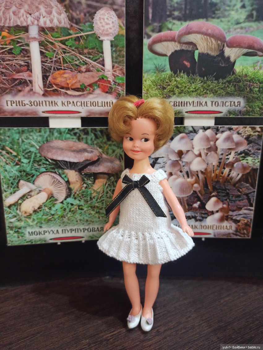 Солнечная поляна. Часть 1. Пенни