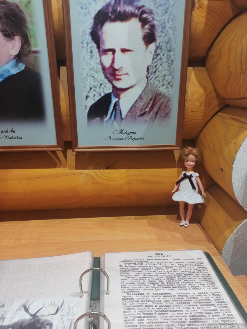 Солнечная поляна. Часть 1. Пенни