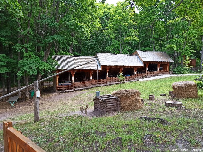 Солнечная поляна. Часть 1. Пенни