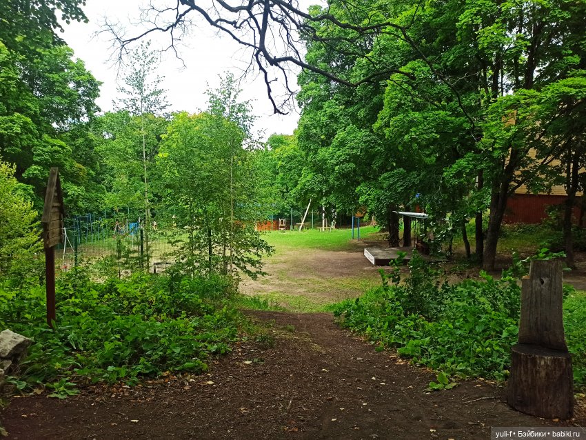 Солнечная поляна. Часть 1. Пенни