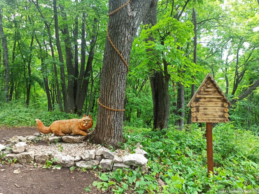 Солнечная поляна. Часть 1. Пенни