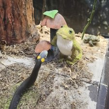 Солнечная поляна Часть 2 Лаврик