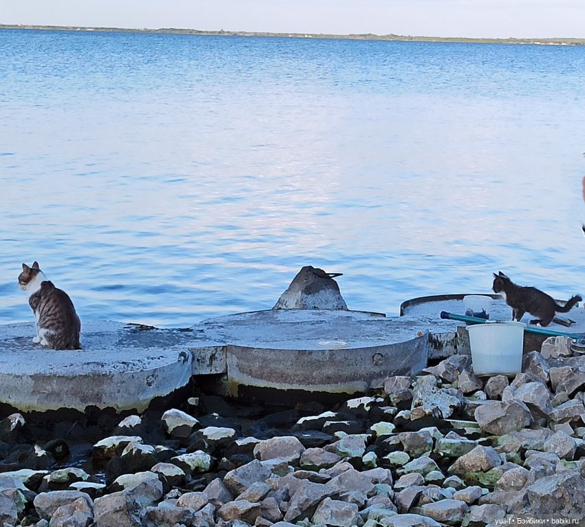 А мальчишке снились якоря