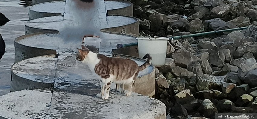 А мальчишке снились якоря