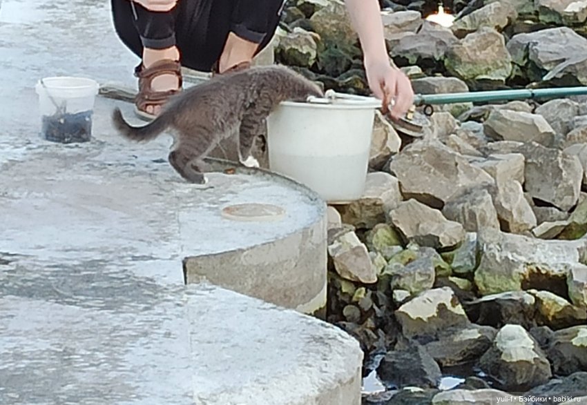 А мальчишке снились якоря