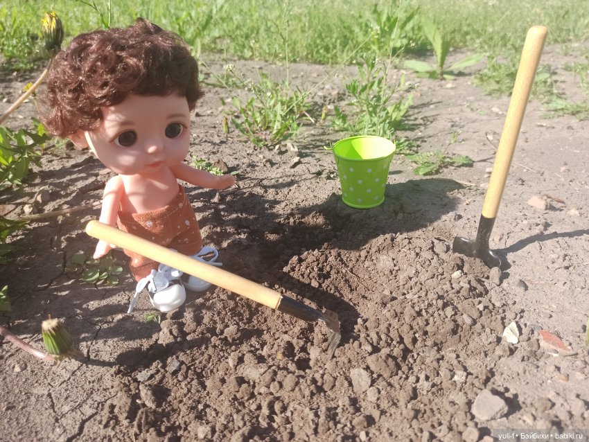 Немного солнца в начале холодного мая