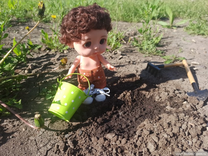 Немного солнца в начале холодного мая