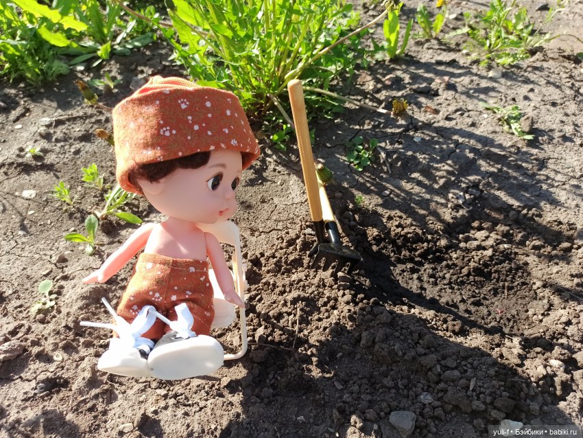 Немного солнца в начале холодного мая